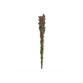 Man of the Wood Wand