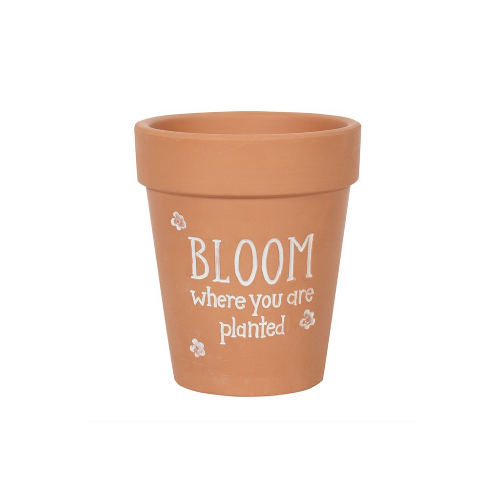 Bloom Where You Are Planted Terracotta Plant Pot