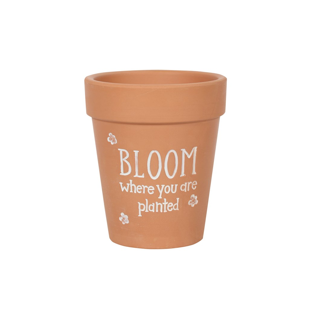 Bloom Where You Are Planted Terracotta Plant Pot